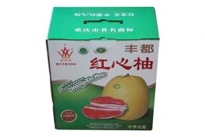 身邊常常出現塑料袋承重不行問題，你有真正了解過嗎